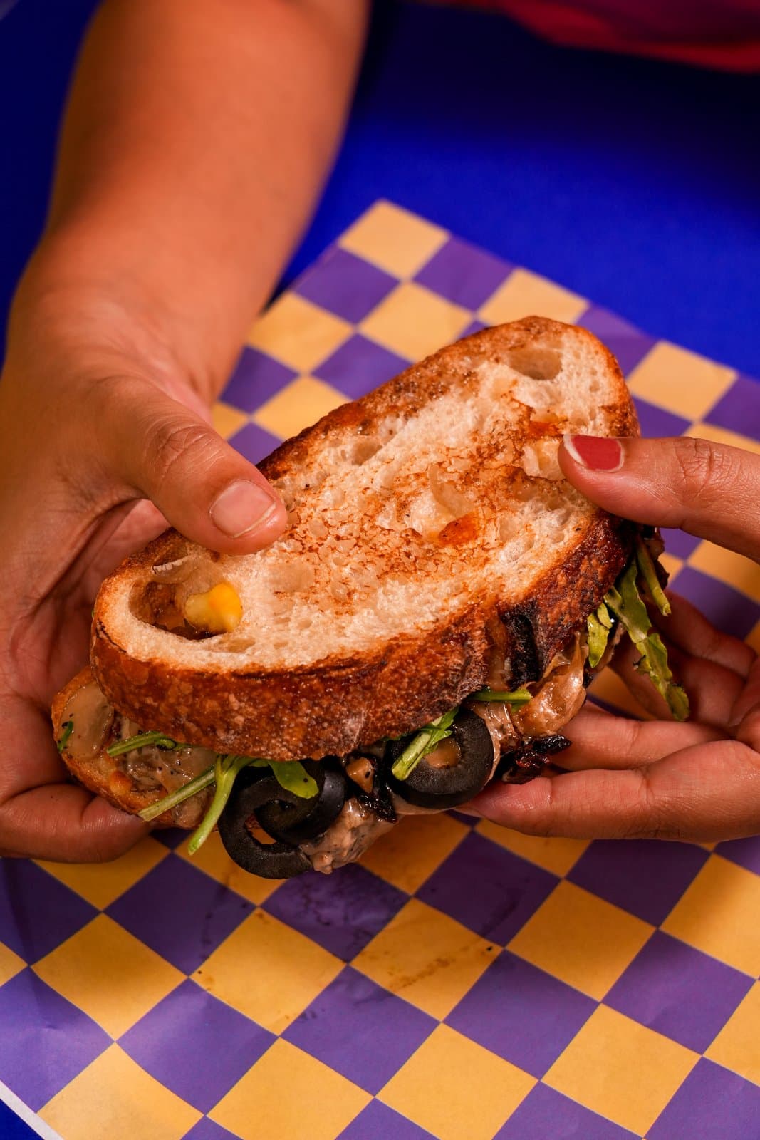 FUNGIMENTALIST - Stack'd Gourmet sandwiches Jaipur